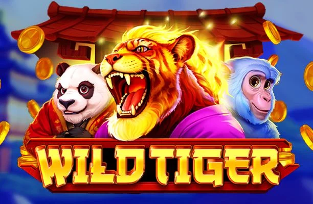 wild tiger